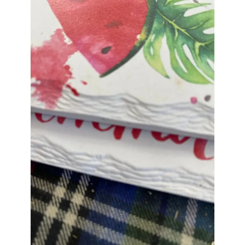 Painted Slate Summer Cork Backed Coasters Set‎ of 3 Watermelon Motif